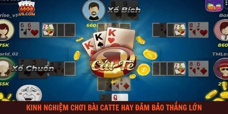 Kinh nghiệm chơi bài Catte hay đảm bảo thắng lớn